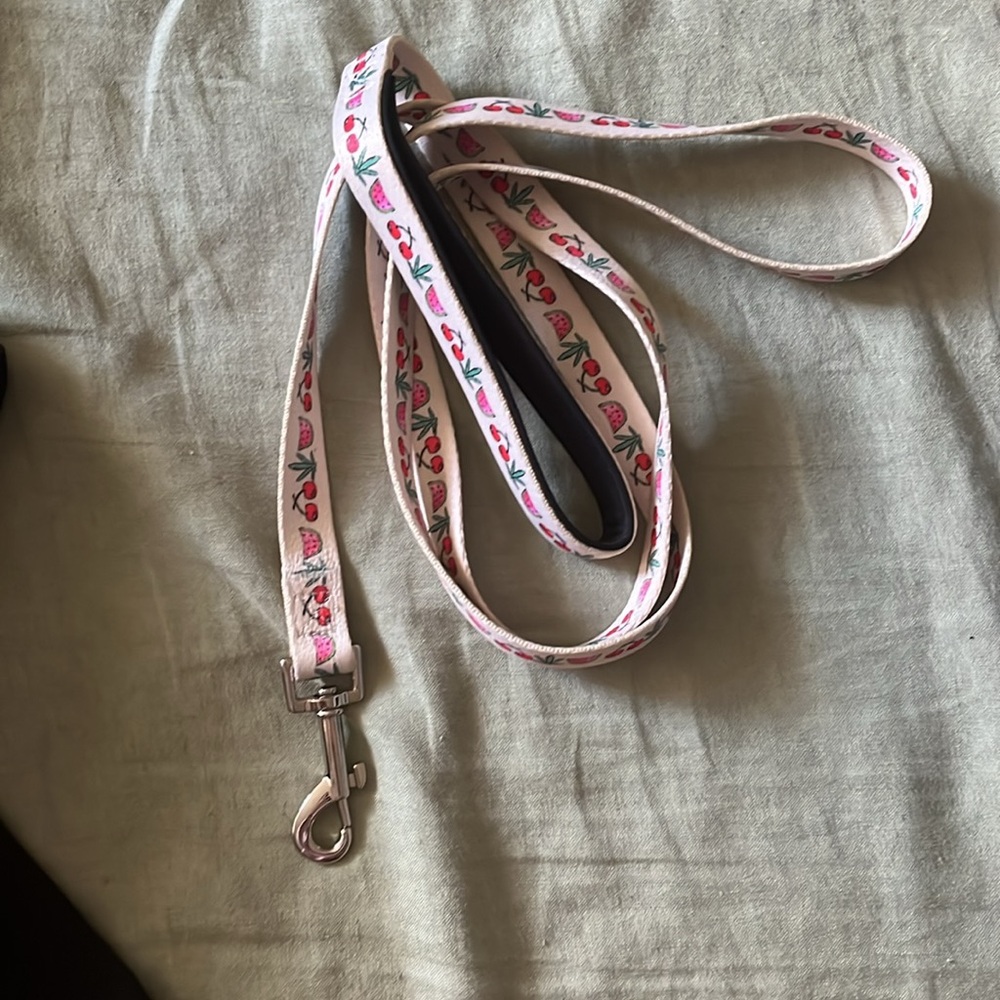 Dog leash